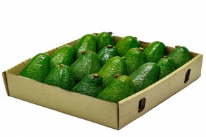 Awokado Hass from Rwanda